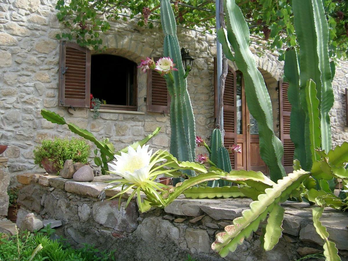 Bed and Breakfast Sa Domu De Sa Contissa Selegas Esterno foto